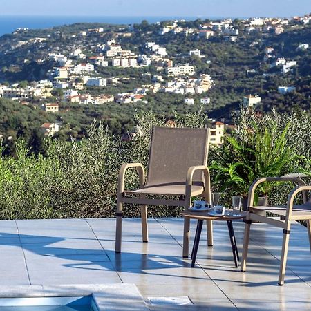 Villa Konstantinos Hilltop Vineyard Escape Almirida Екстериор снимка